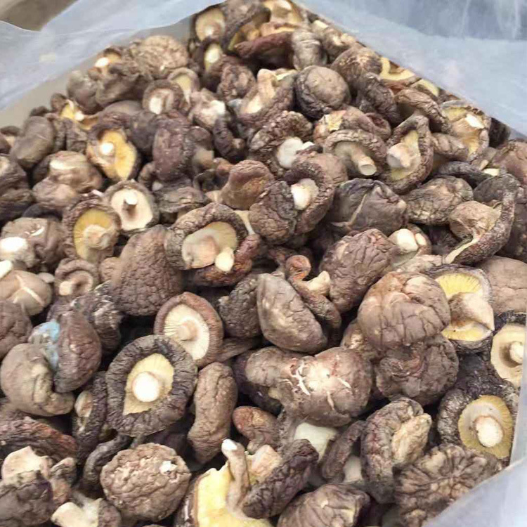 湖北隨州特產香菇 優(yōu)質干菇，散裝代發(fā)大量供應