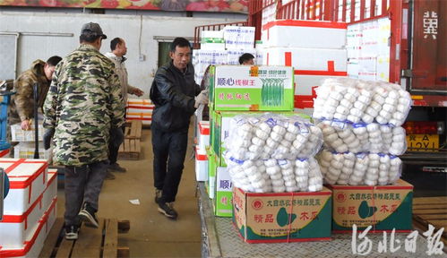 河北邢臺 筑牢節日市場供應防線，守護食用農產品批發安全